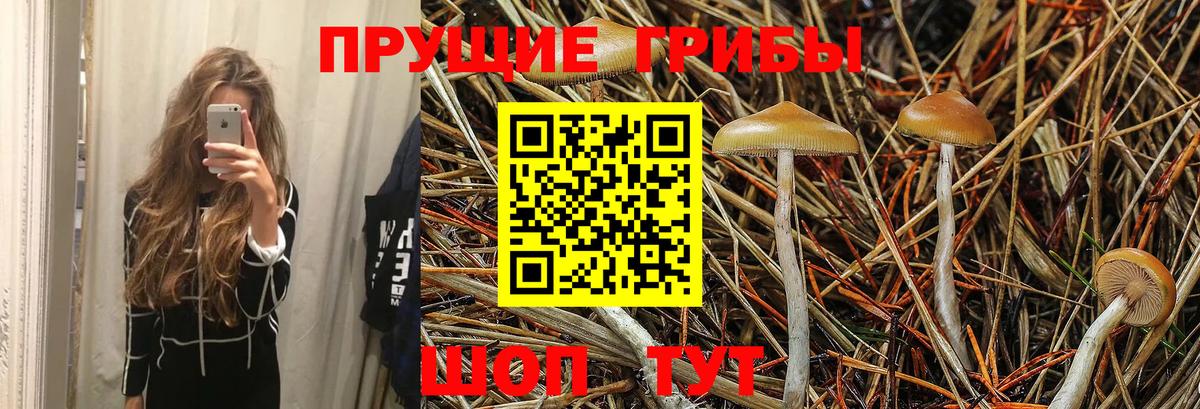 Галлюциногенные грибы MAGIC MUSHROOMS  Вход с VPN  Приморско-Ахтарск 
