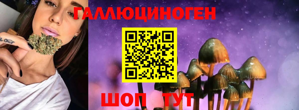 Псилоцибиновые грибы мицелий Приморско-Ахтарск